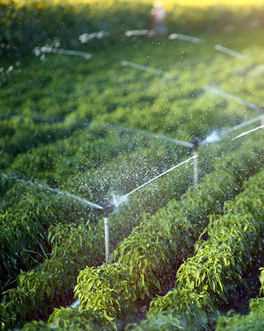 Agricultural Irrigation